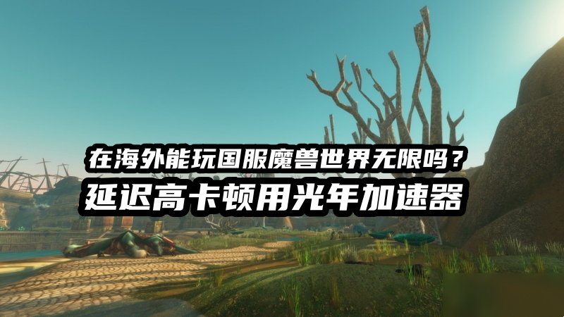 海外玩国服魔兽世界无限就用光年加速器.jpg